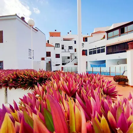 Colina II Con Piscina, En Los Cristianos, Tenerife Sur Daire